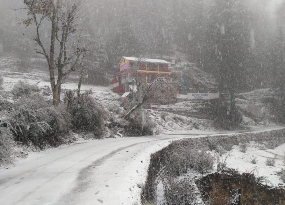 Photo of Others in Shimla