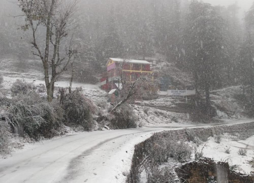 Photo of Others in Shimla