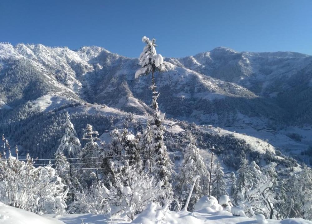 Photo of Outdoor in Shimla