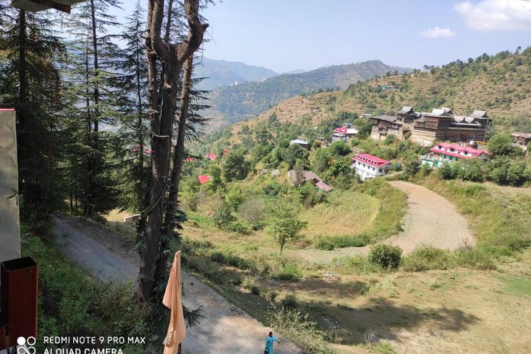 Photo of Others in Shimla