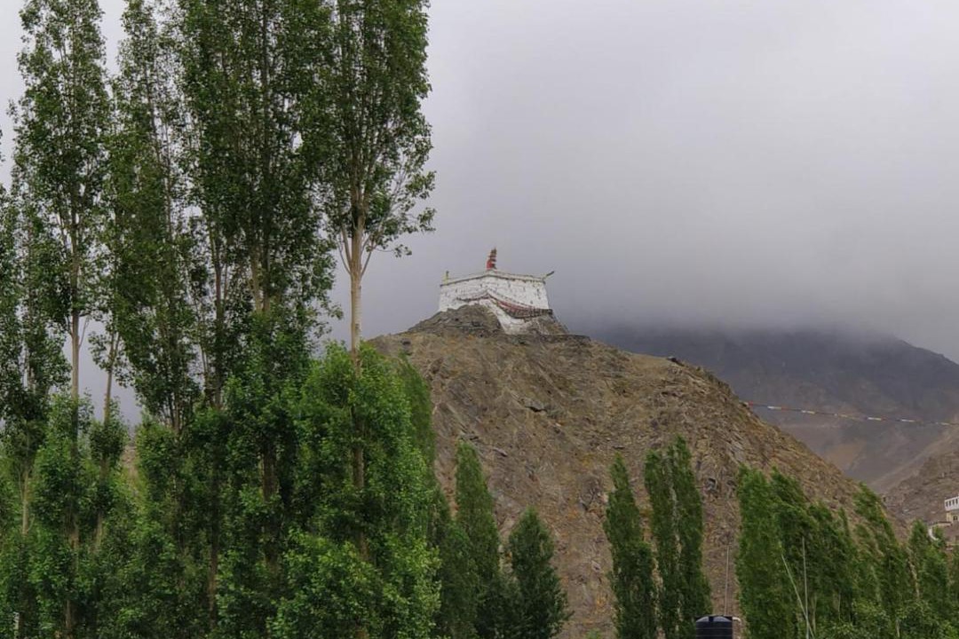 Photo of Others in Leh