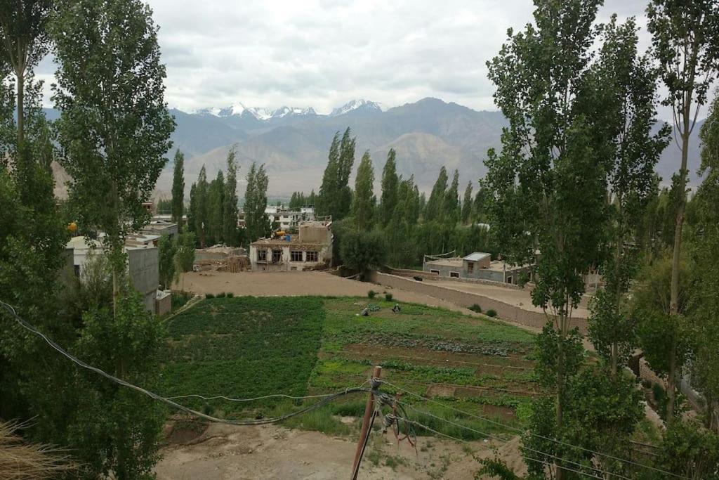Photo of Outdoor in Leh