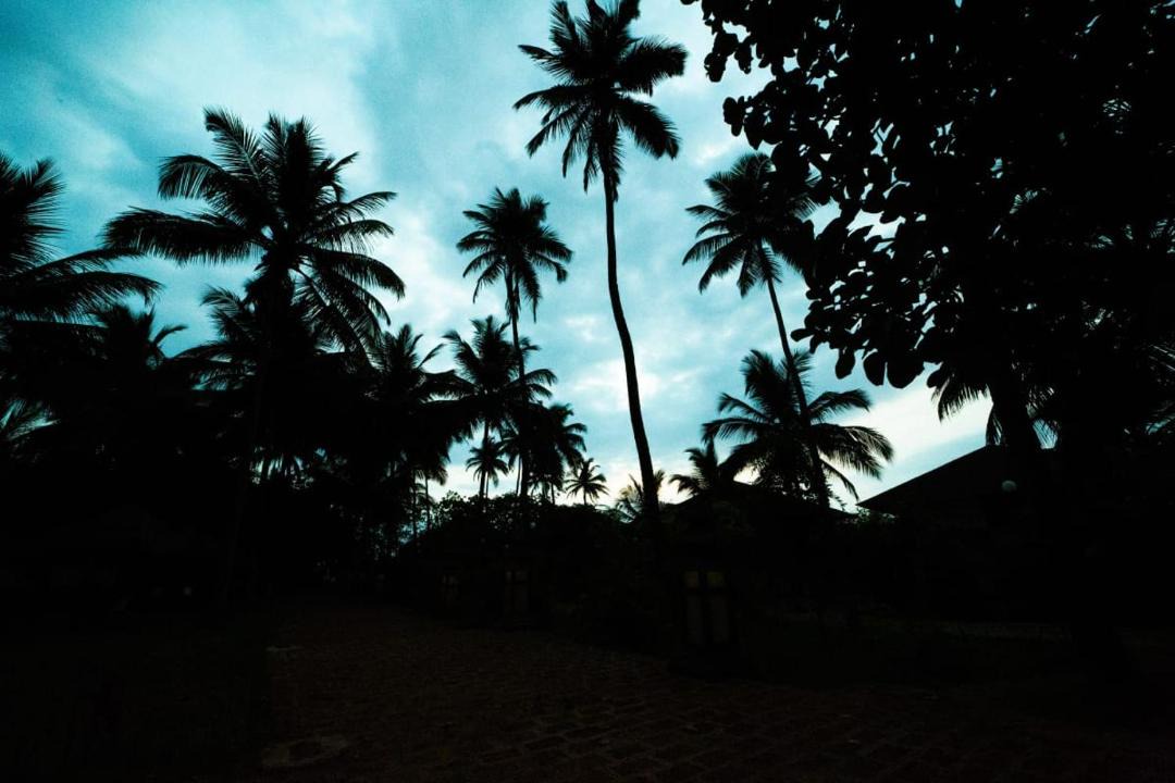 Photo of Others in Mhsala