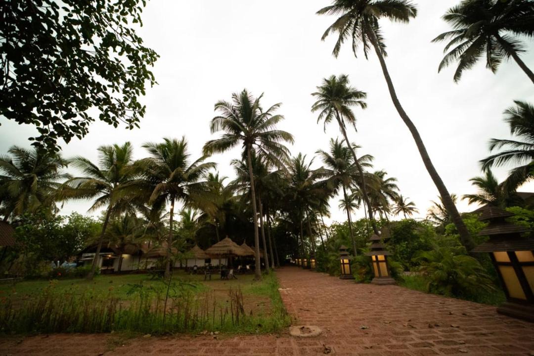 Photo of Others in Mhsala