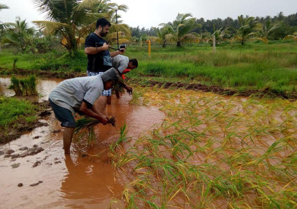 Photo of Others in Mhsala