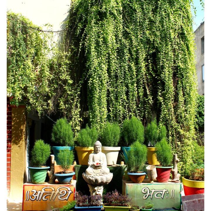 Photo of Patio Balcony in Gwalior