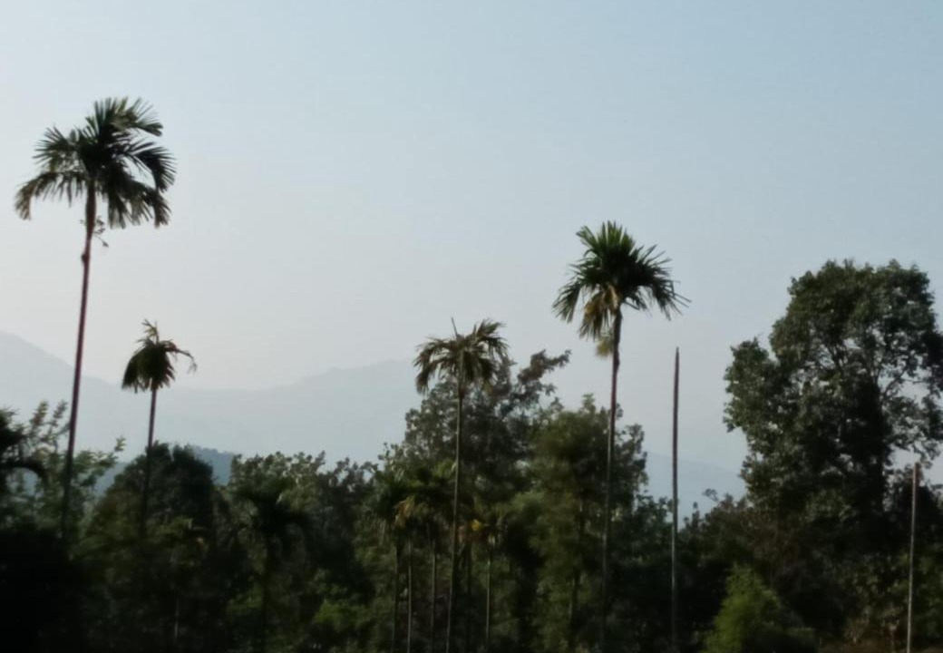 Photo of Outdoor in Kunnathidavaka