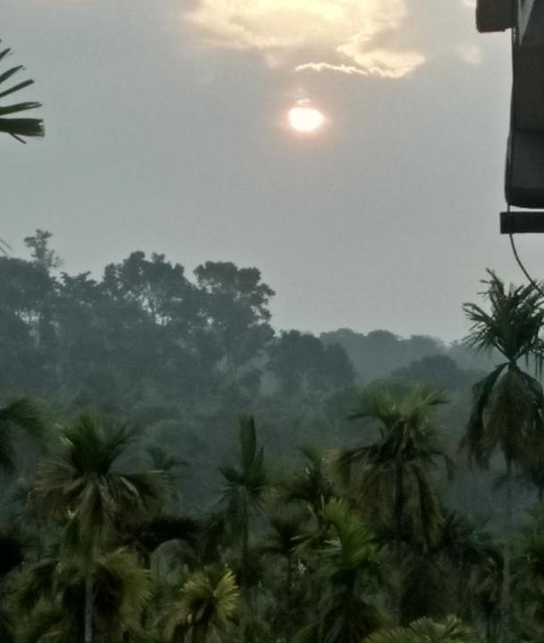 Photo of Others in Meenangadi