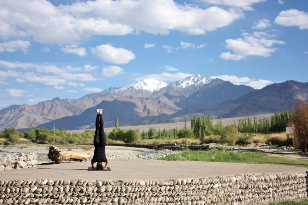 Photo of Others in Leh