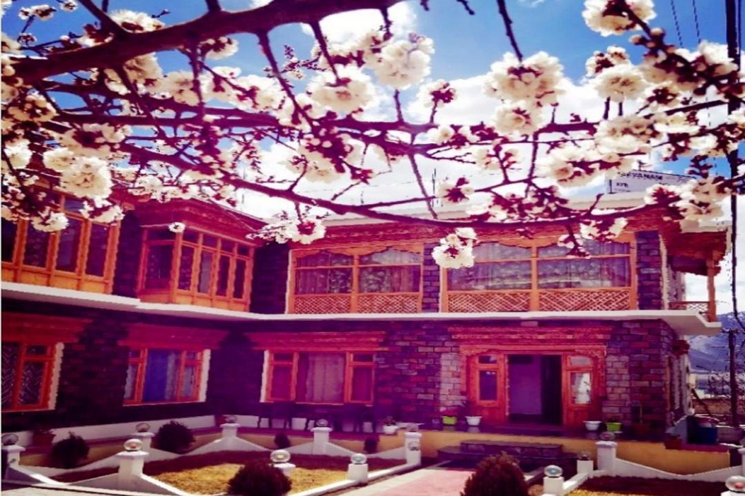 Photo of Others in Leh