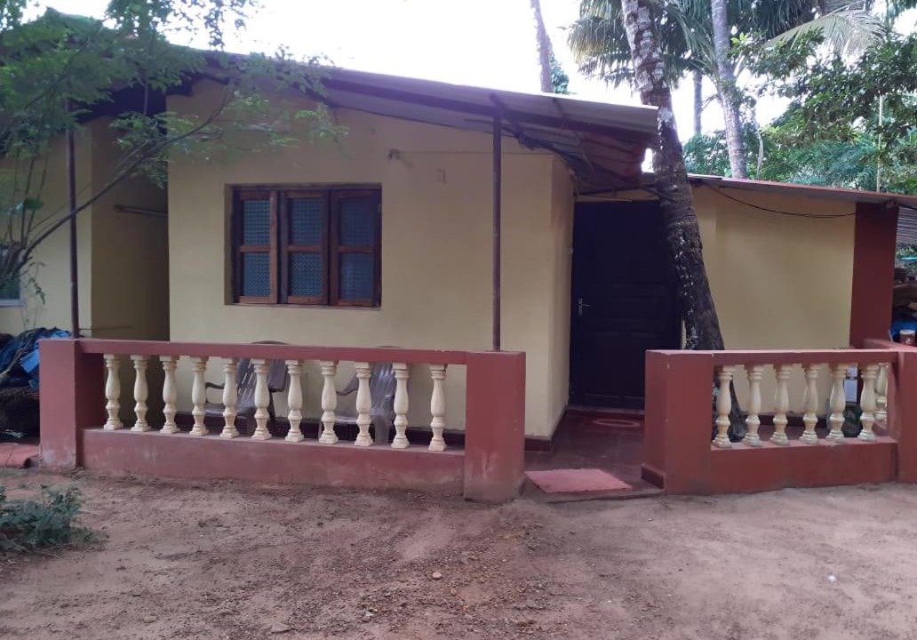 Photo of Others in Palolem