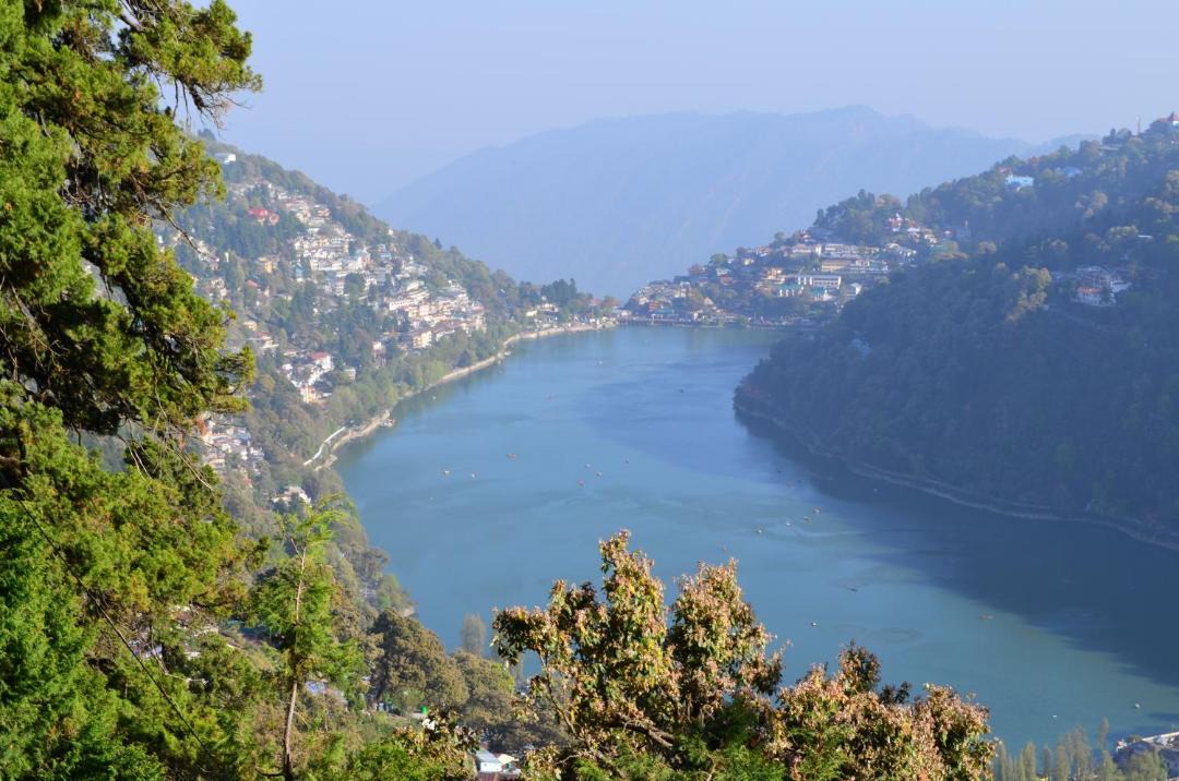 Photo of Others in Naina Range