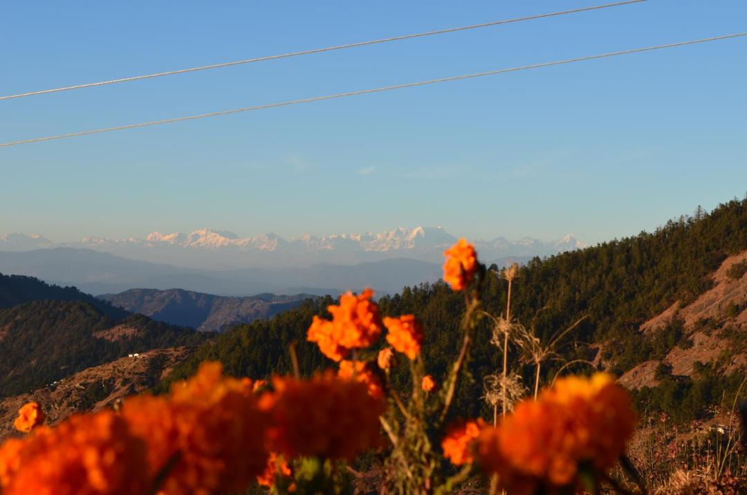 Photo of Others in Naina Range