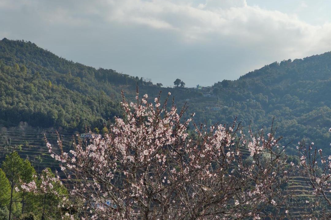 Photo of Others in Mukteshwar