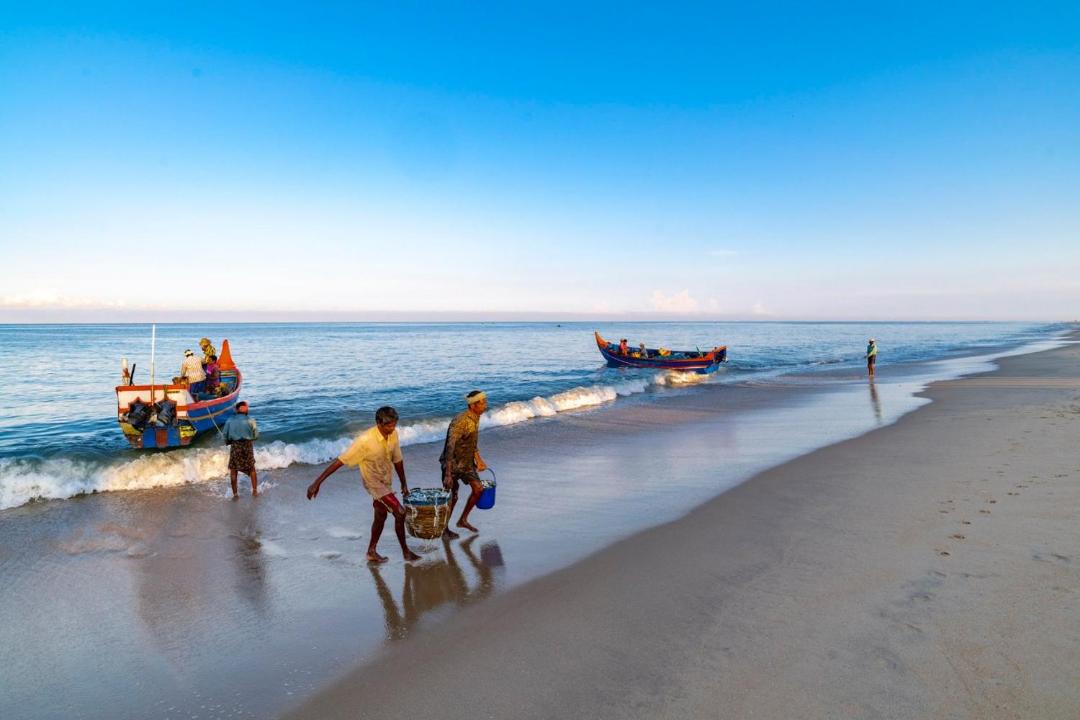 Photo of Others in Alappuzha