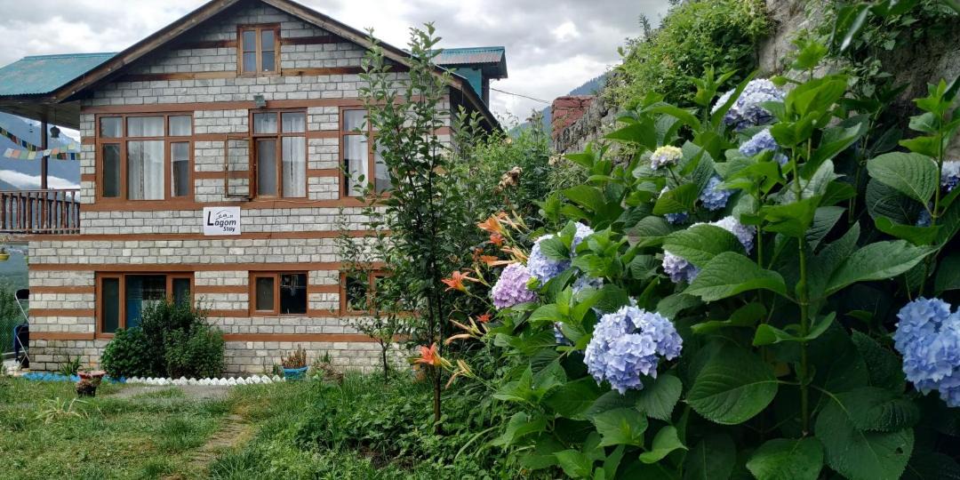Photo of Buildings in Jagatsukh