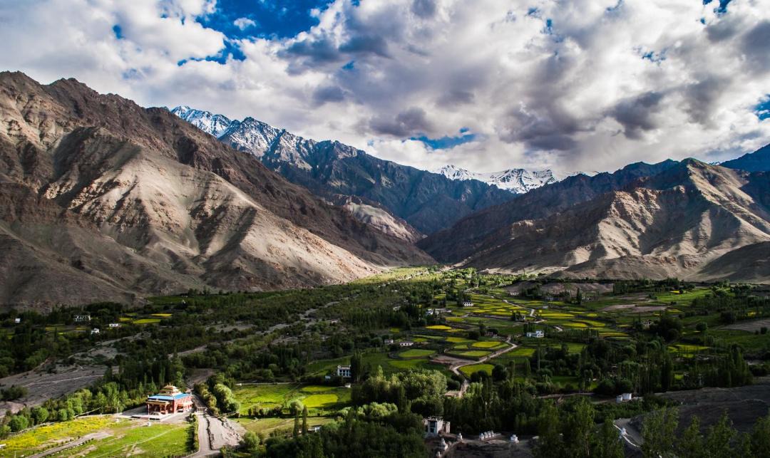 Photo of Others in Leh