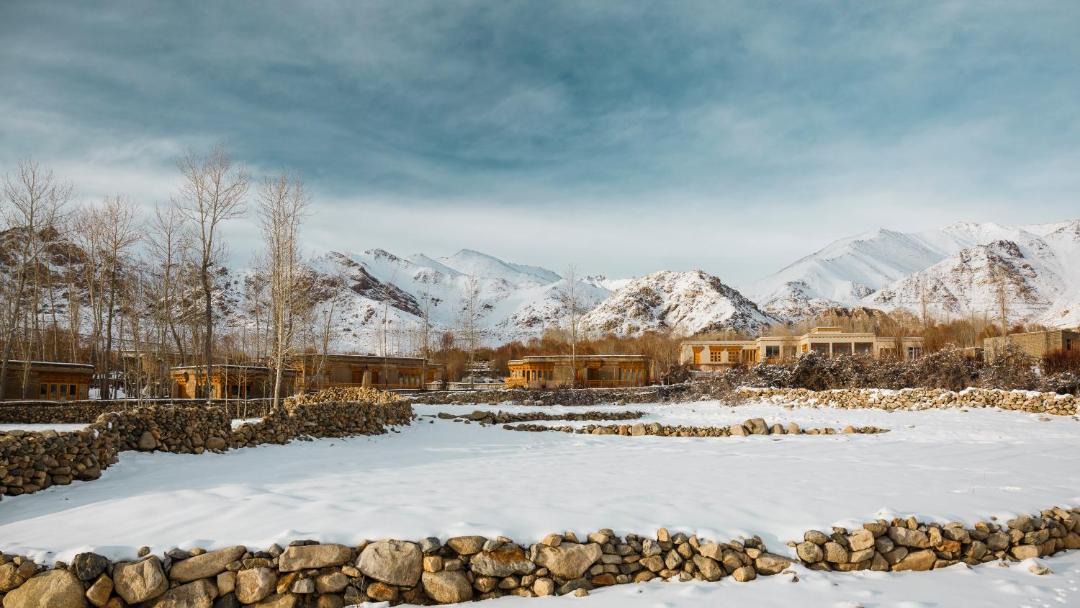 Photo of Others in Leh