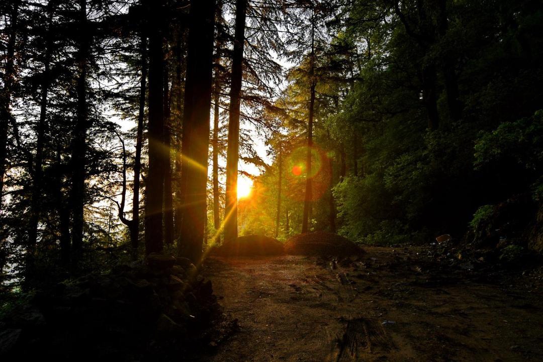 Photo of Others in Dalhousie