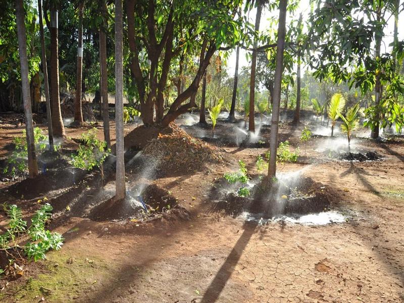 Photo of Others in Chiplun