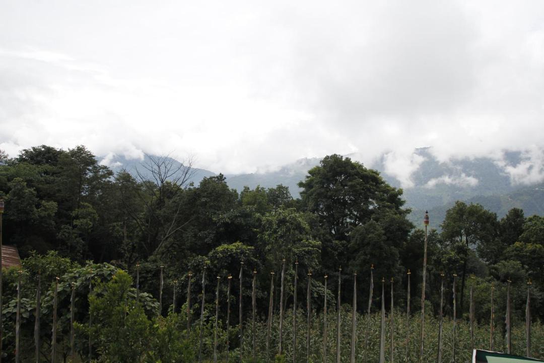 Photo of Others in Namchi
