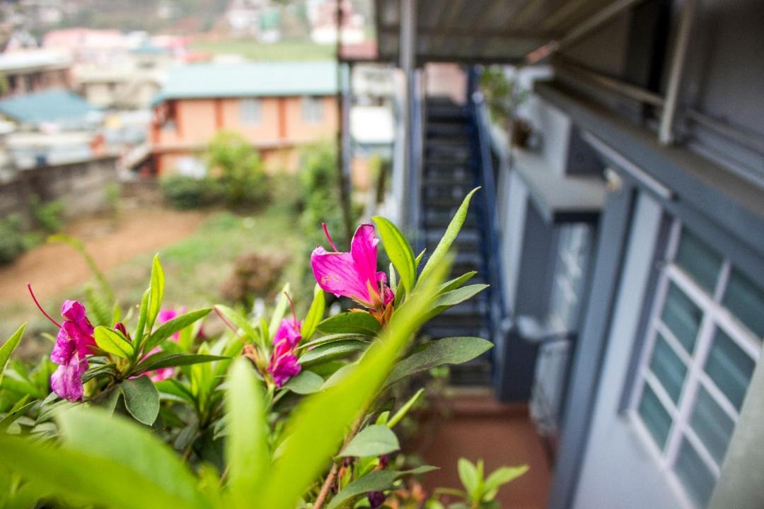 Photo of Others in Shillong