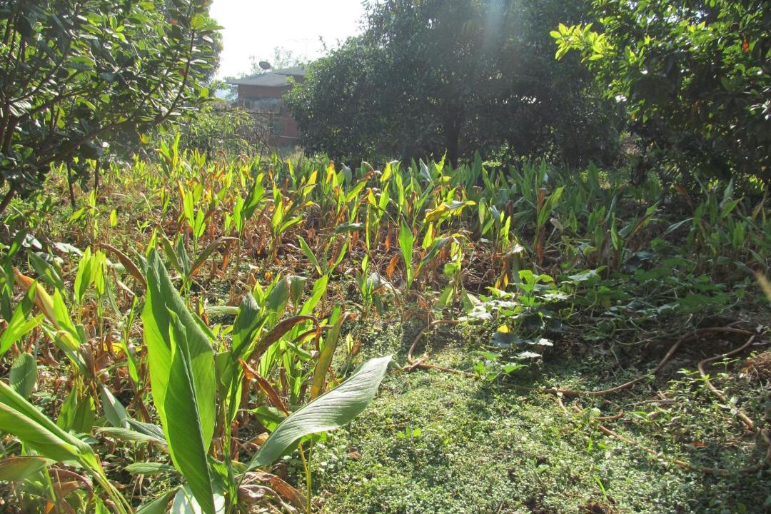 Photo of Outdoor in Chiplun