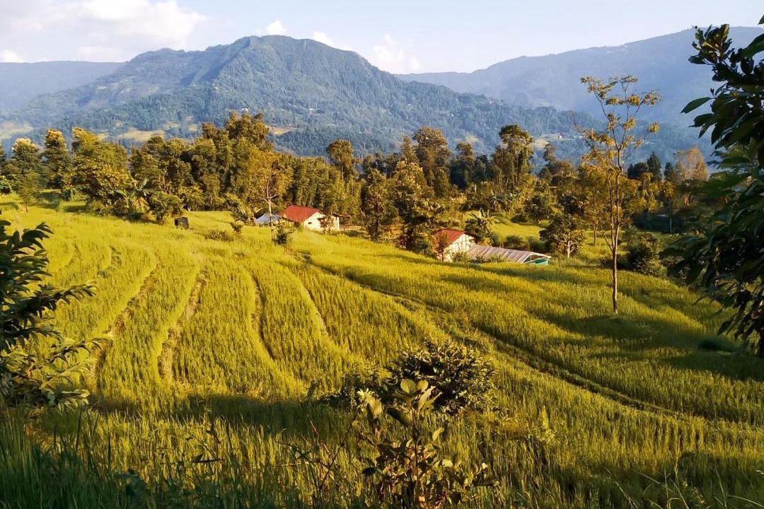 Photo of Others in Kalimpong