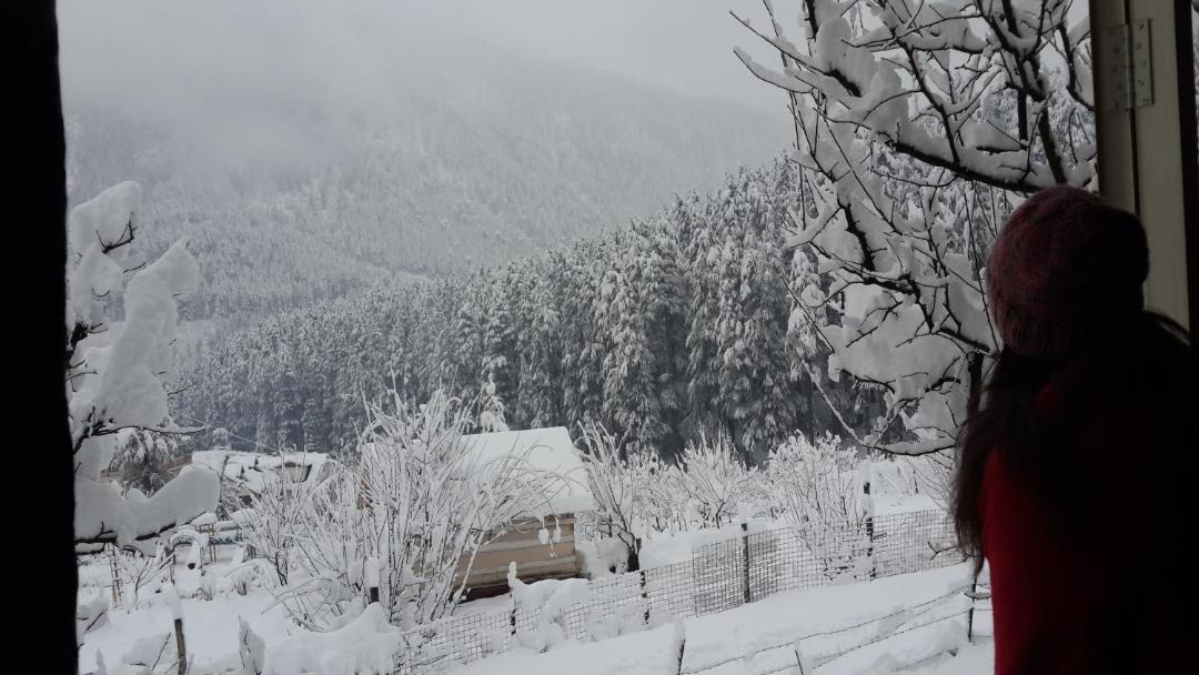 Photo of Others in Old Manali