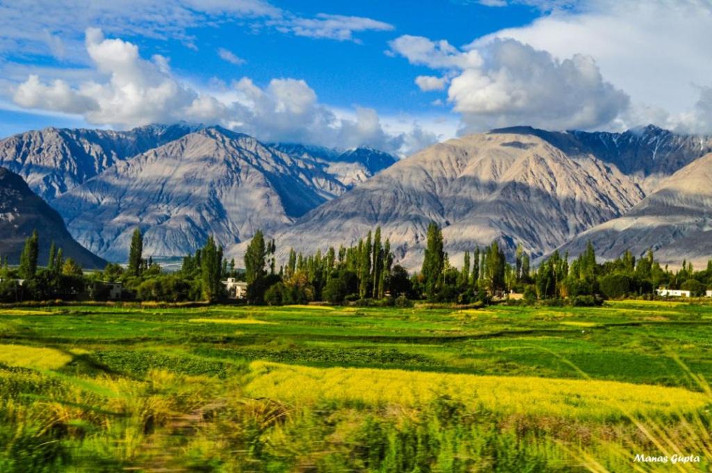 Photo of Others in Leh