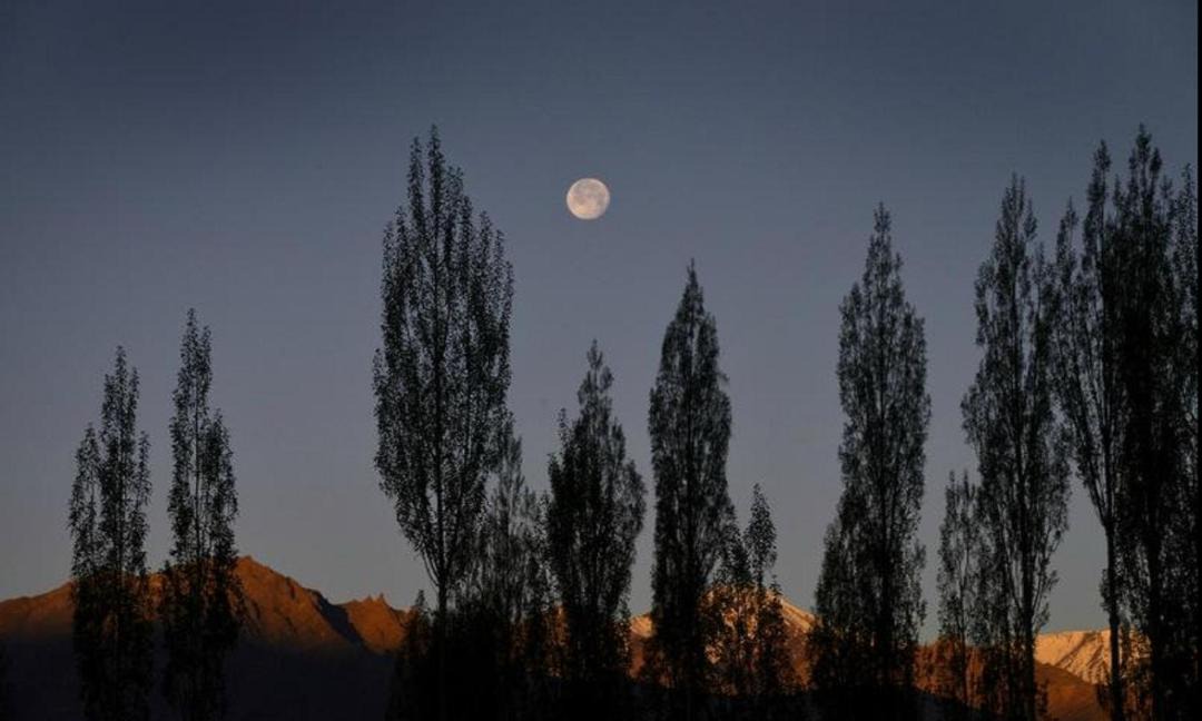 Photo of Others in Leh