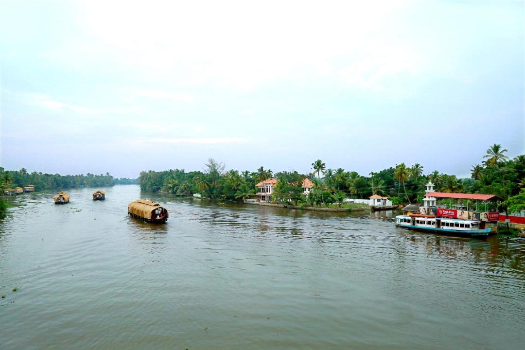 Photo of Others in Mankombu
