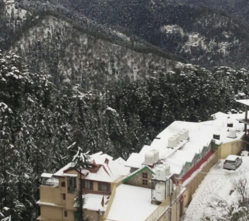 Photo of Others in Shimla