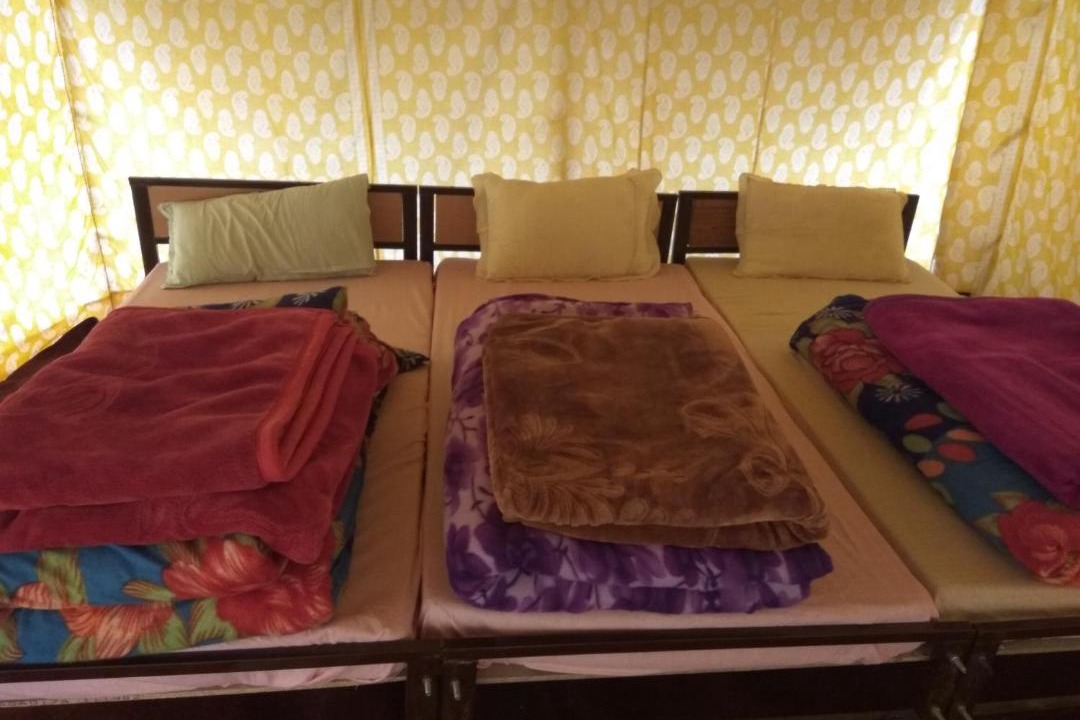 Photo of Others in Sarchu