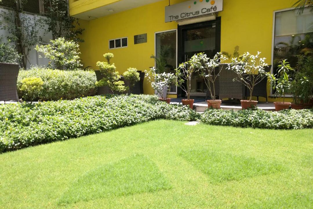 Photo of Others in Udyog Vihar