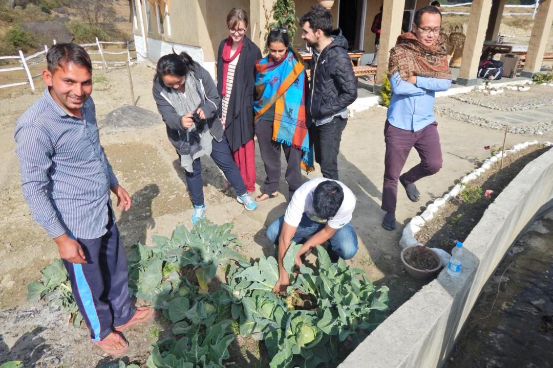 Photo of Human In Picture in Palampur