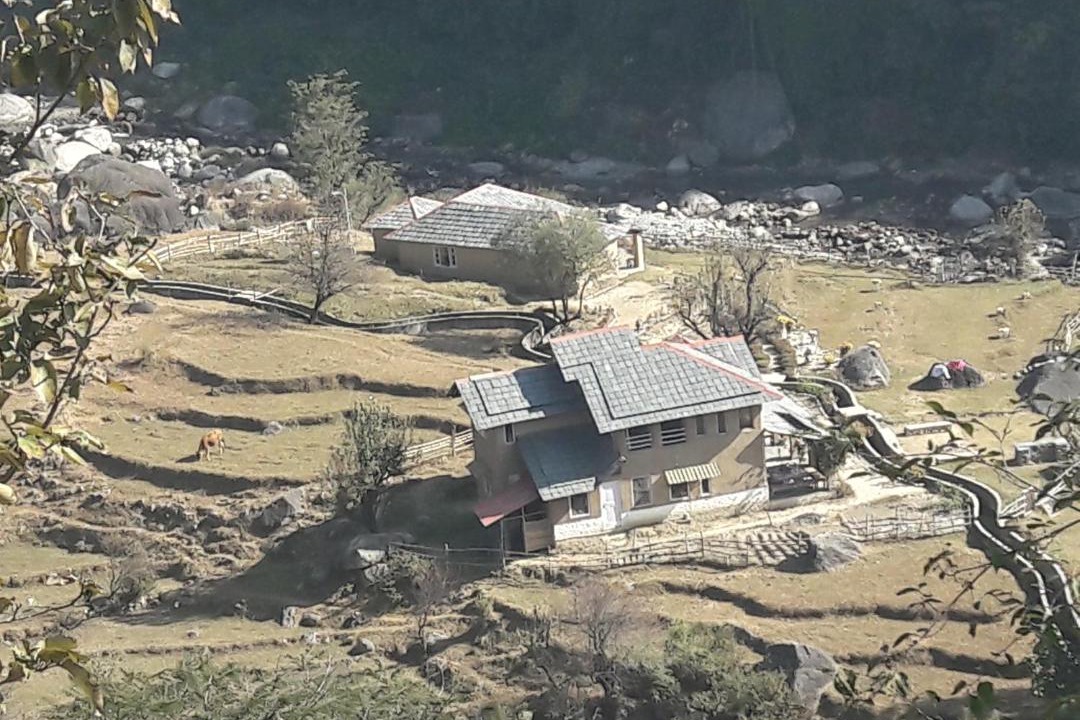 Photo of Buildings in Palampur