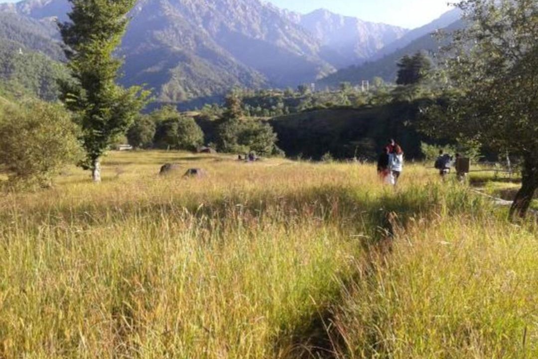 Photo of Outdoor in Palampur