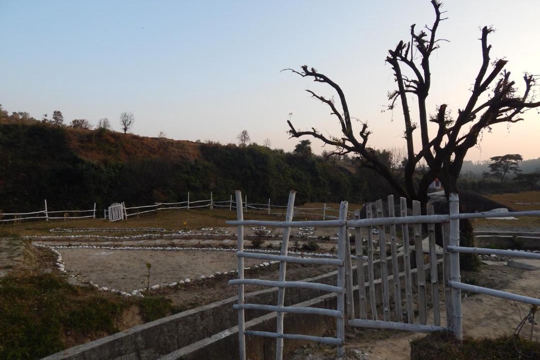 Photo of Buildings in Palampur