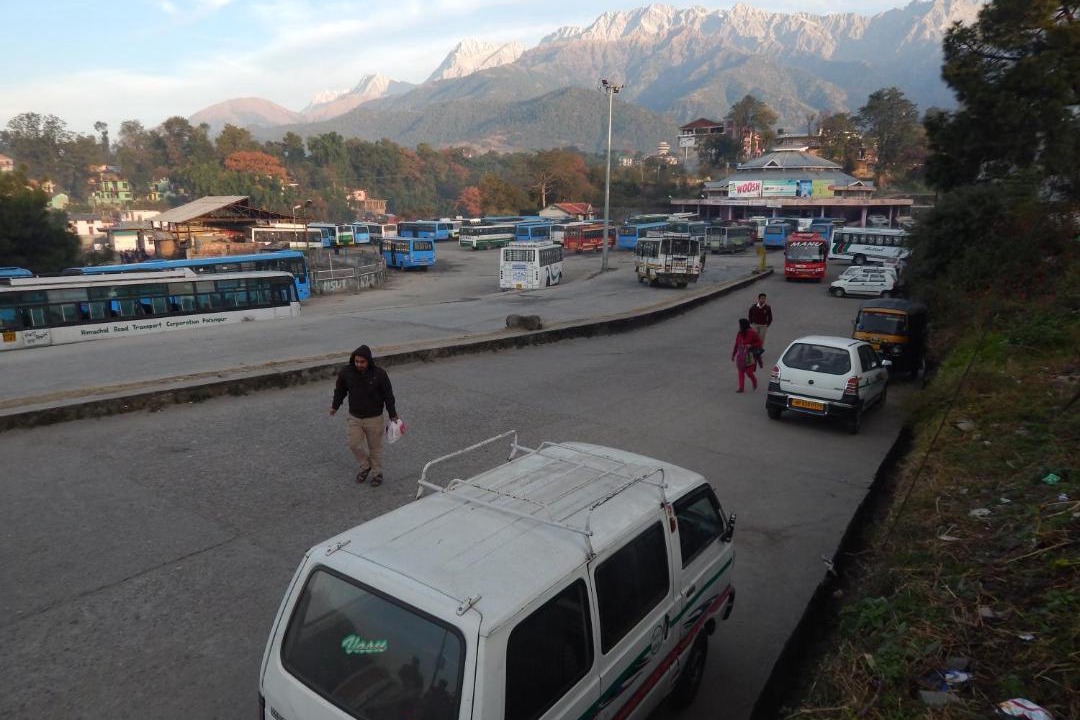 Photo of Others in Palampur