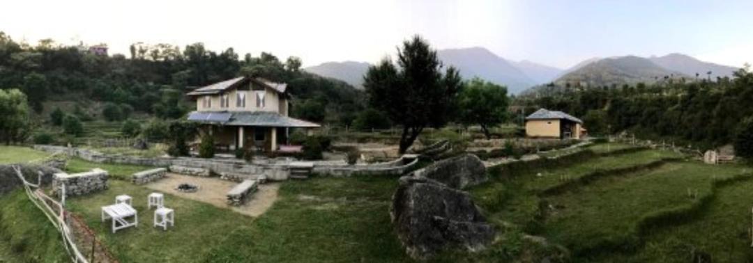 Photo of Others in Palampur