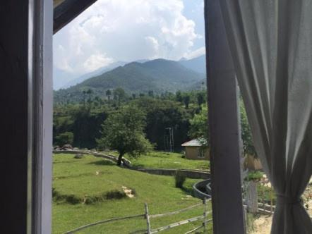 Photo of Others in Palampur