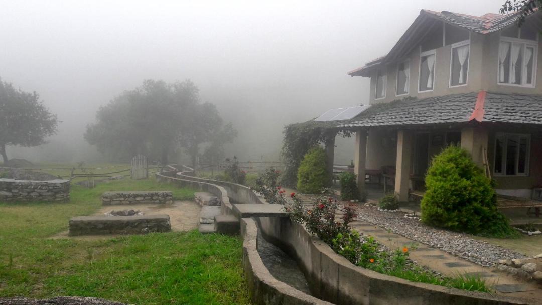 Photo of Buildings in Palampur