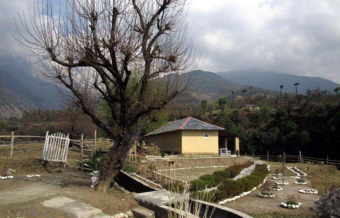 Photo of Others in Palampur