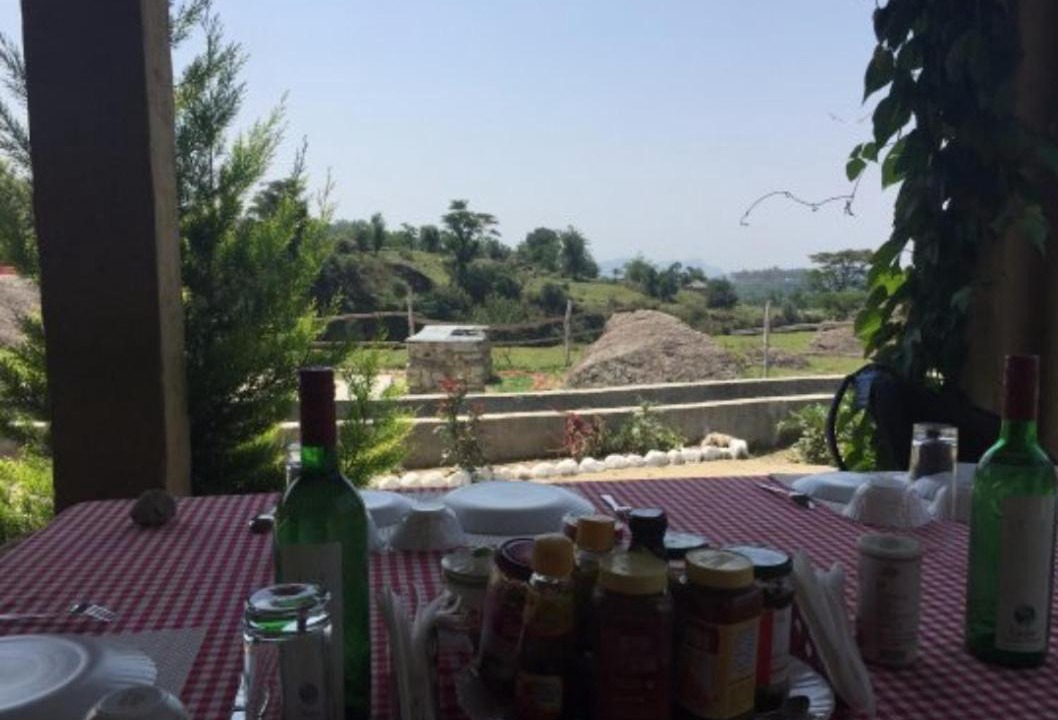 Photo of Patio Balcony in Palampur