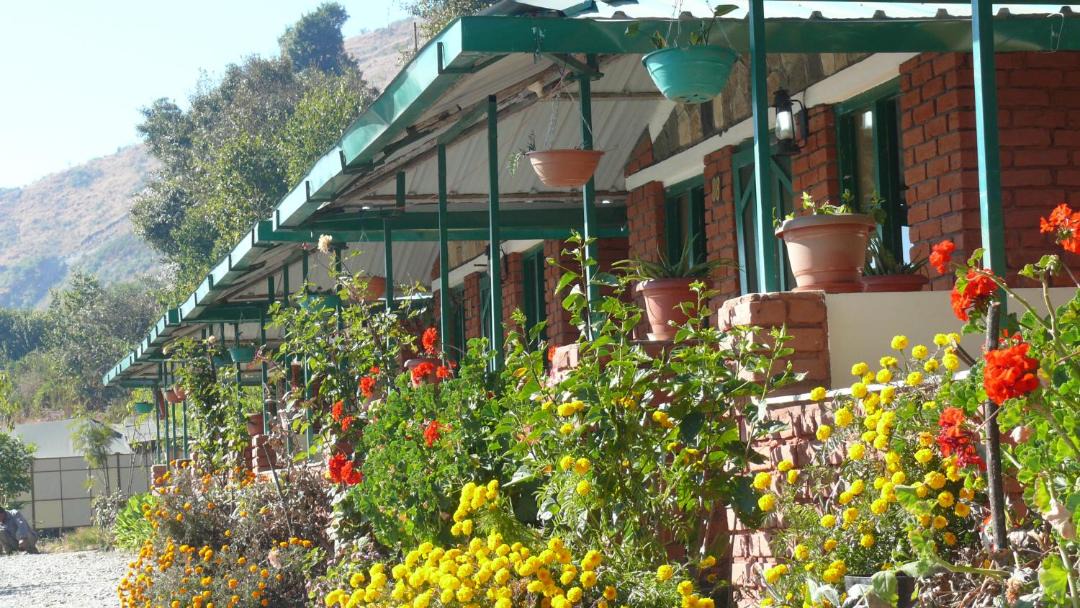 Photo of Others in Chakrata