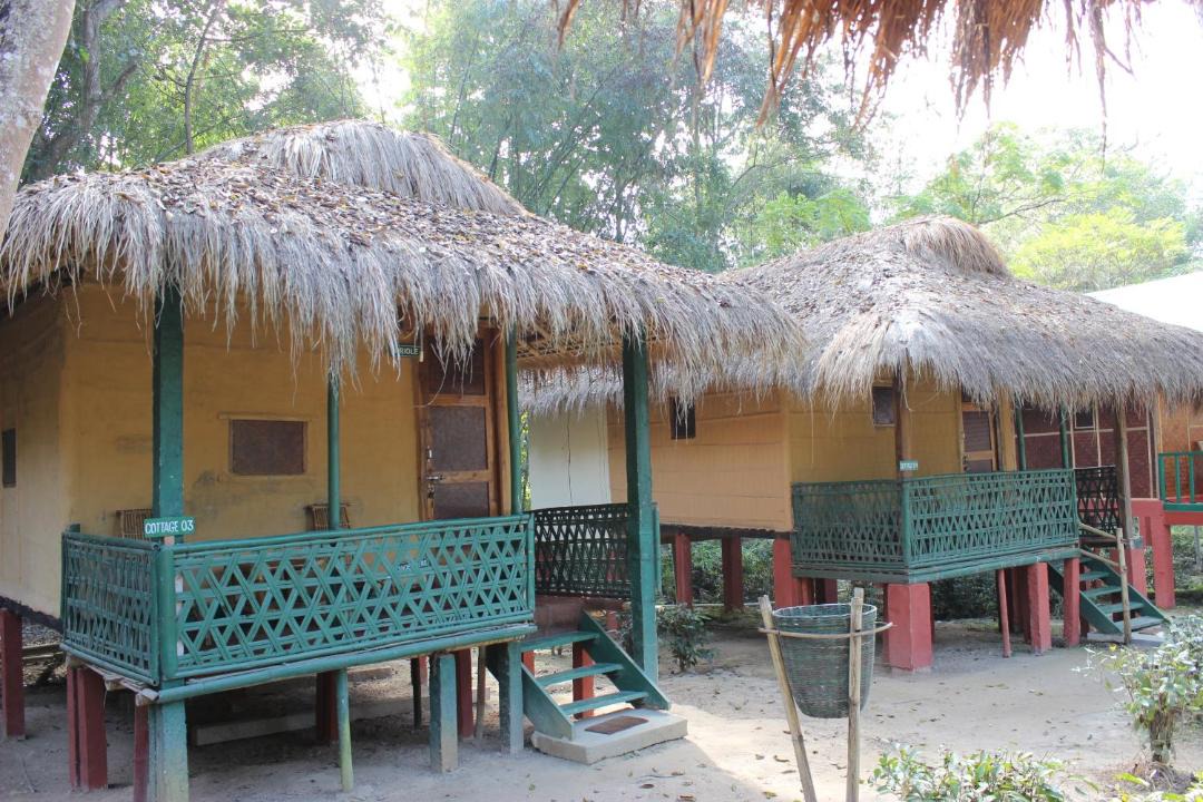 Photo of Others in Bokakhat
