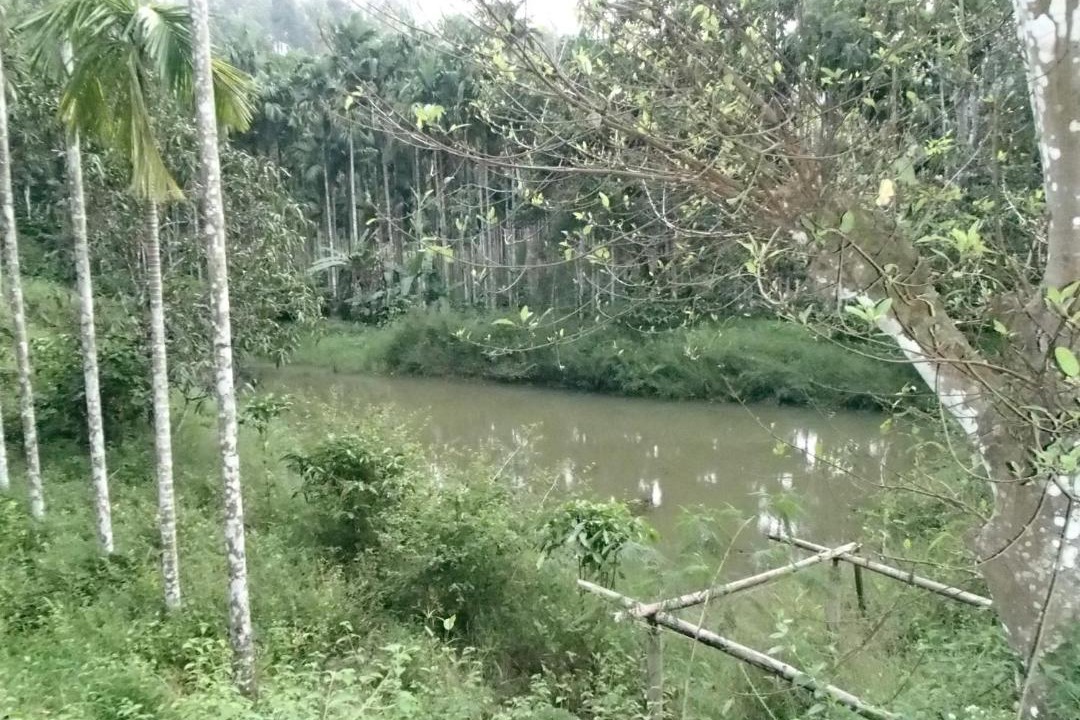 Photo of Others in Somvarpet