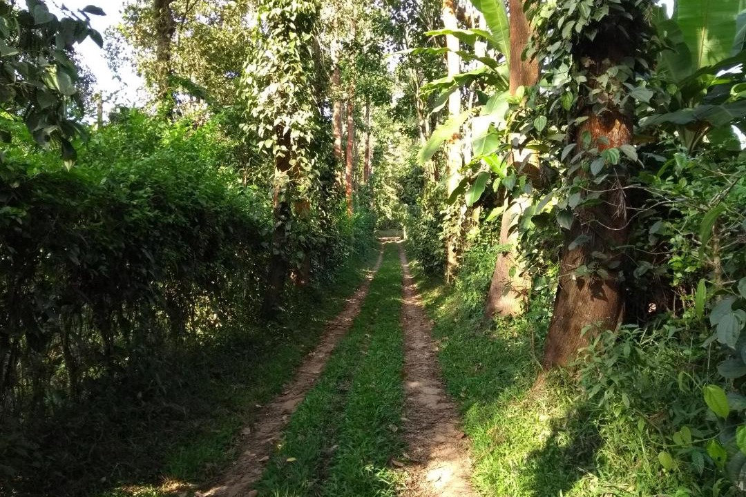 Photo of Others in Somvarpet