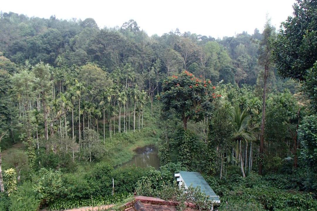 Photo of Others in Somvarpet